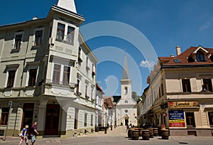 The Calvinist Church in KoÃÂ¡ice Slovakia